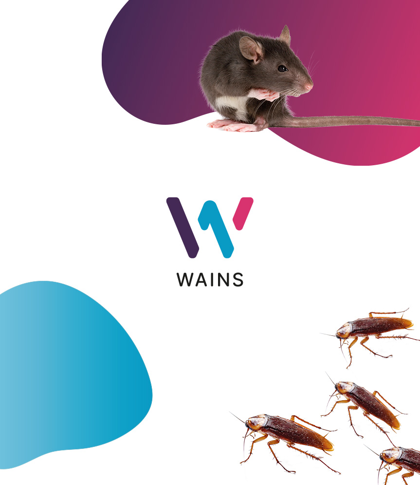 WAINS